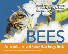 Bees: An Identification and Native Plant Forage Guide Book